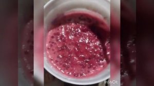 готовлю сироп клоповки