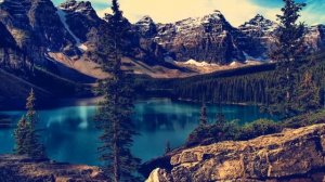 Музыка для души, гитара акардион скрипка