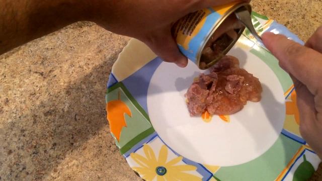 Желудочки Куриные Куриная Ферма Обзор Консервы Птичьи