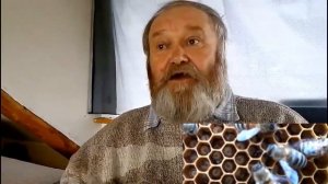 Растения  -  нервная система медоносной пчелы