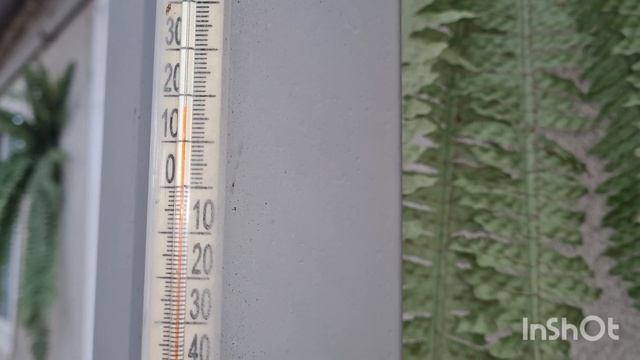 варю повидло из яблок смотреть онлайн