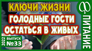 Дары подземелья. Растительный эфир. Фруктовые овощи. Нас здесь не ждали? Пищевая парадигма человека.