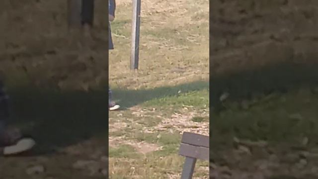 Девочки попрошайки, попрошайничают деньги у нас!