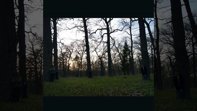 приснился май смотреть онлайн