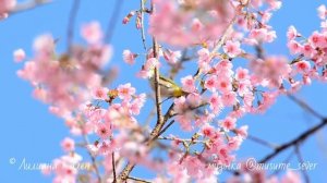 Медитация Все будет хорошо #медитацияочищенияотнегатива