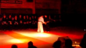 demonstration frasnes sin moo hapkido