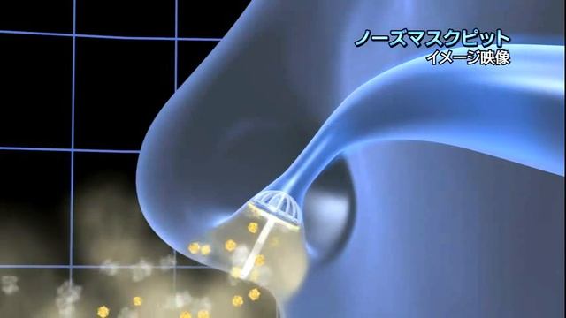 Японские фильтры для носа респираторы-невидимки от аллергии и ОРЗ,ОРВИ смотреть онлайн