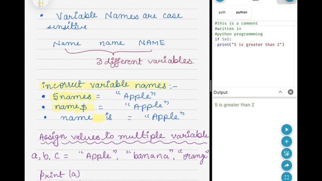 L1 | Python Indentation | Python variables | Comments in Python | Variable Naming Rule in Python