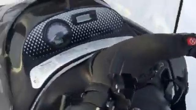 Тайга смотреть онлайн