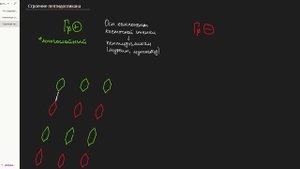 Клеточная стенка грамположительных и грамотрицательных бактерий. Пептидогликан и ЛПС. Метод Грама