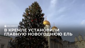 В Кремле установили главную новогоднюю ель