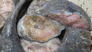 Осетрина на углях