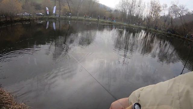 MX Fishing Treff 12. Forellenteichanlage Finkenbachtal. Ловля форели на блесны и силикон. смотреть онлайн