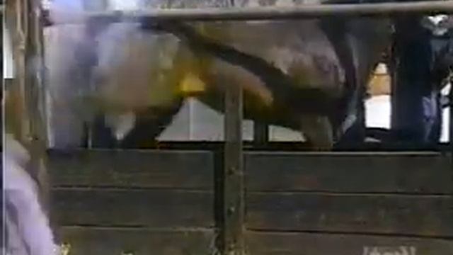 Клеймо.mpeg смотреть онлайн