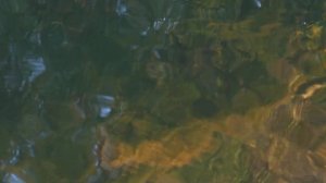 Китайская расслабляющая музыка -погружает в хорошие воспоминания