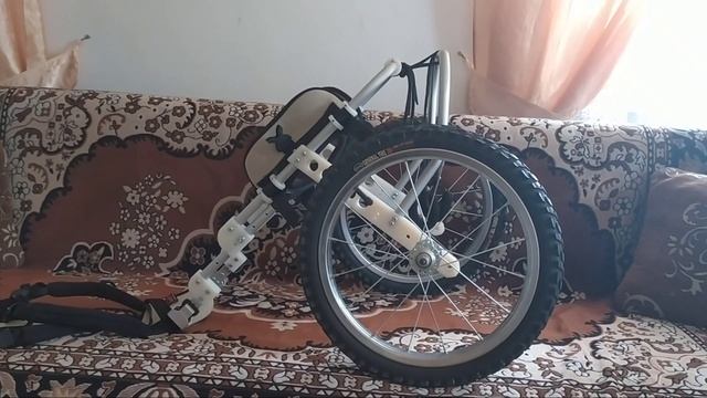 Собака на колесах смотреть онлайн