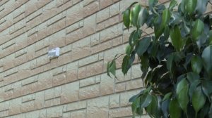 Сочетаем три цвета на одном доме. Фасадные панели Дёке. "Экстерьер" (3 сезон, 4 выпуск).