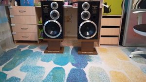 Technics SB-CD520