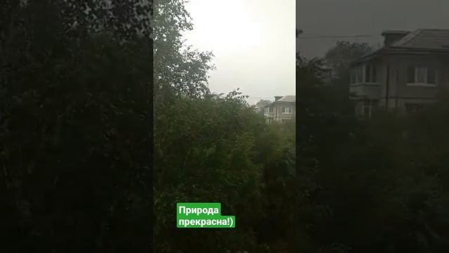 Дождь_для_сна._смрангарск_trustdumbl_#природа #смр
