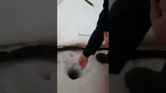 Поймал хорошего сига,а тот чуть не ушёл!!! смотреть онлайн