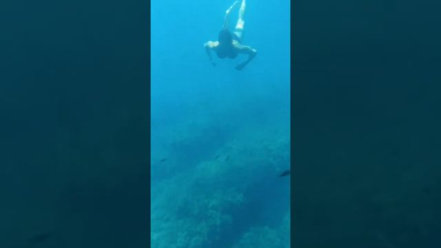 Прозрачная вода? Вы серьёзно?! смотреть онлайн