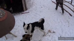 Поездка в Амгу - Якутия