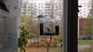 Кормушка для птиц на присосках - "Эльбрус"