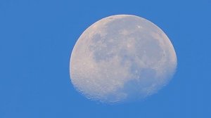 "Shoot the Moon" Nikon Coolpix P520 Moon-Zoom Test (Night & Day)