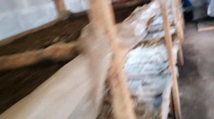 Выращивание червей для рыбалки как дополнительный заработок