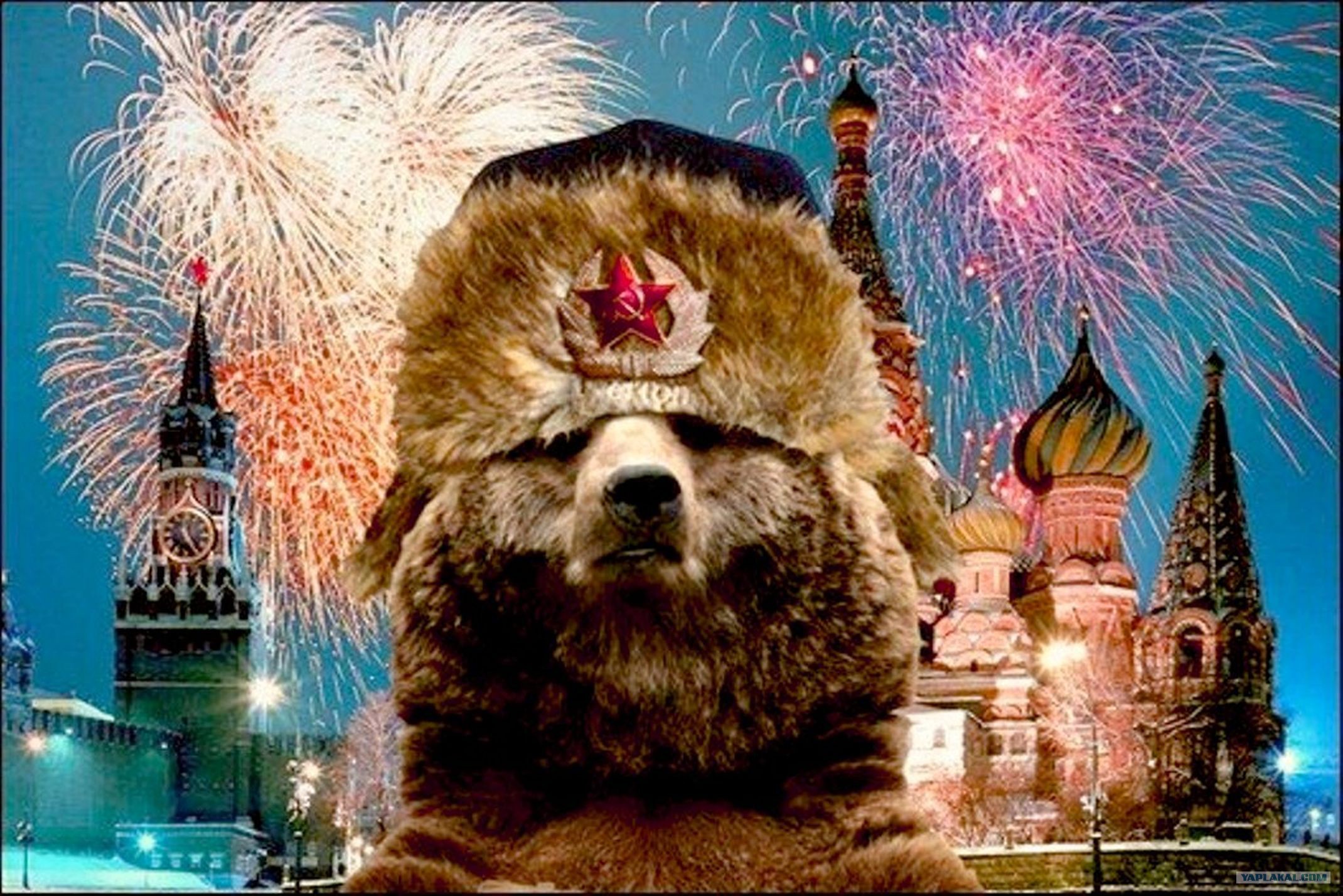 Медведи Синвел России?