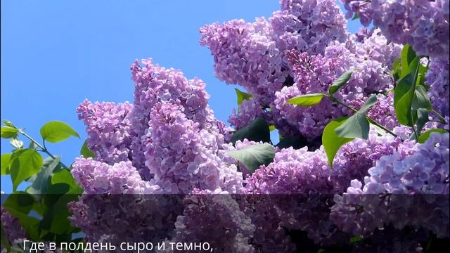 Я помню детства золотого... смотреть онлайн