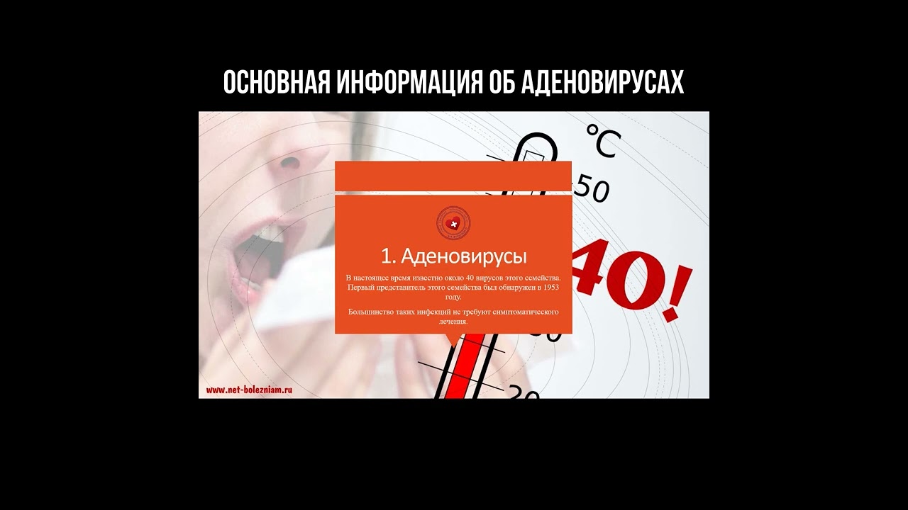 Основная информация об аденовирусах смотреть онлайн