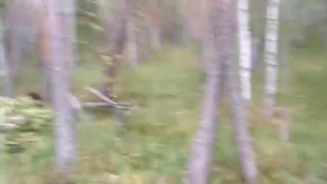 Вездеход Соломономобиль-911 по болоту смотреть онлайн