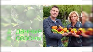 Как посеять герань? Как избавиться от черных мошек? Как собрать стеллаж для рассады?