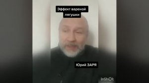 Эффект варёной лягушки