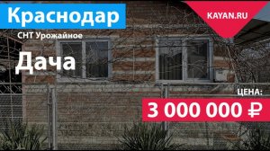 Дача в Знаменском на участке 4 сотки. СТ Урожайное Краснодар