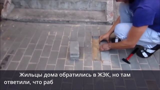 Спасли собаку.mov