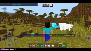 Time Stop Addon For Minecraft Pe | Spelen Gamer