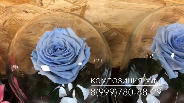 Роза в колбе ОПТОМ - Композиция Mini