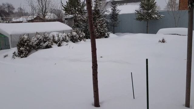 зима