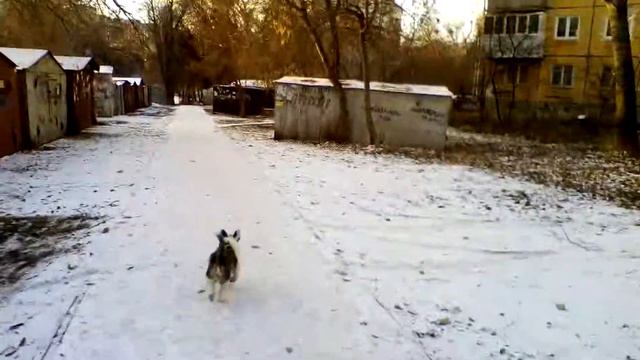 Вокруг да около 3 (ГАРАЖЕЙ) смотреть онлайн