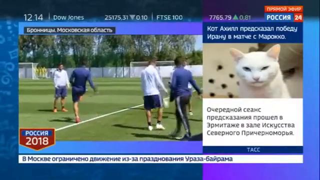 В подмосковных Бронницах проходит последняя тренировка сборной Аргентины . смотреть онлайн