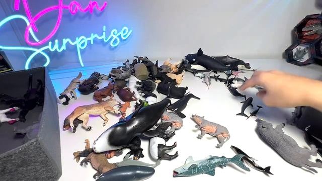 New Sea Animals & Wild Animals - Dolphin, Whale, Orca, Narwhal, Vaquita, Beluga Whale, Whaleshark смотреть онлайн