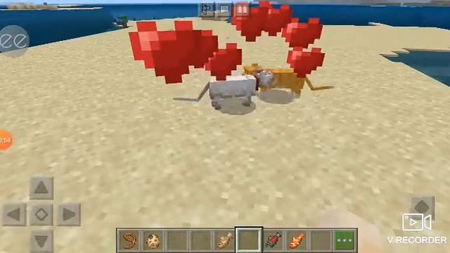 Как приручить маленького котёнка? Не выращивая его!????? смотреть онлайн