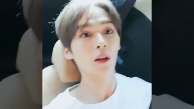 бан комфорт для минхо чан смотреть онлайн