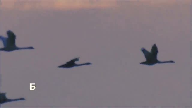 Это вам за пацанов! Песня летчику Роману Филипову (авт.Алексей Коркин) Инструментальная версия смотреть онлайн