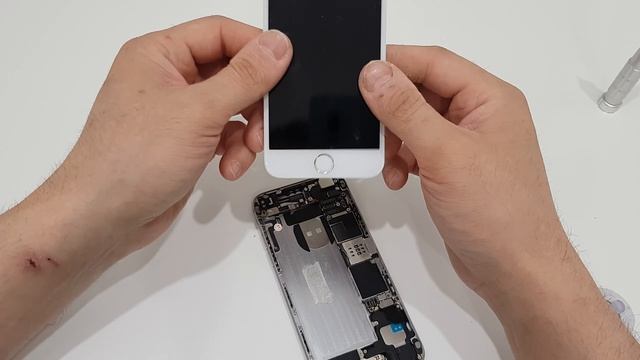 Отзыв дисплей для Apple iPhone 6 Tianma в сборе с тачскрином Белый смотреть онлайн