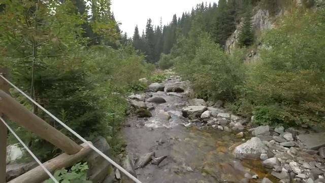 Запах зла. Страшные. Мистические. Творческие рассказы. смотреть онлайн