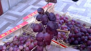 Хранение винограда до Нового года.