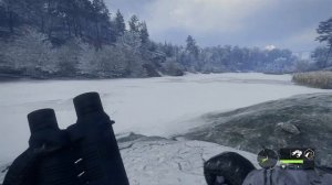 TheHunter Call of the Wild - ОХОТА в ТАЙГЕ # 105